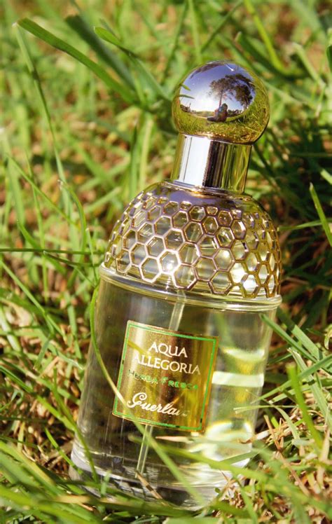 Guerlain Herba Fresca Review: A Refreshing Summer Fragrance